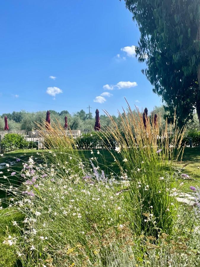سوفيريتو Terravita Winery & Boutique Apartments المظهر الخارجي الصورة