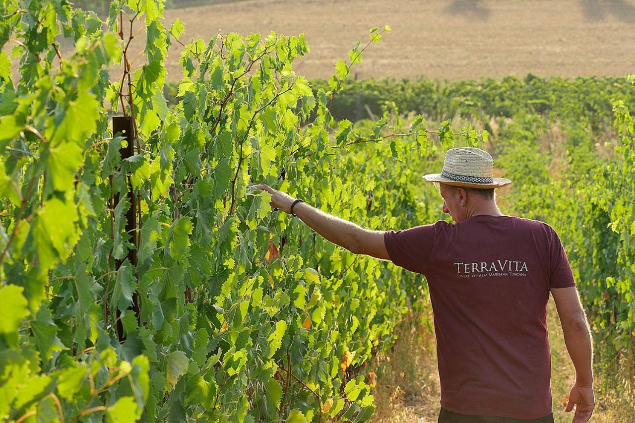 سوفيريتو Terravita Winery & Boutique Apartments المظهر الخارجي الصورة